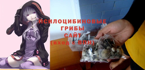эйфоретик Нязепетровск
