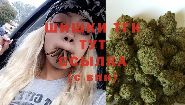 Альфа ПВП Арсеньев