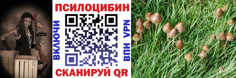 Галлюциногенные грибы Psilocybe  Липки 